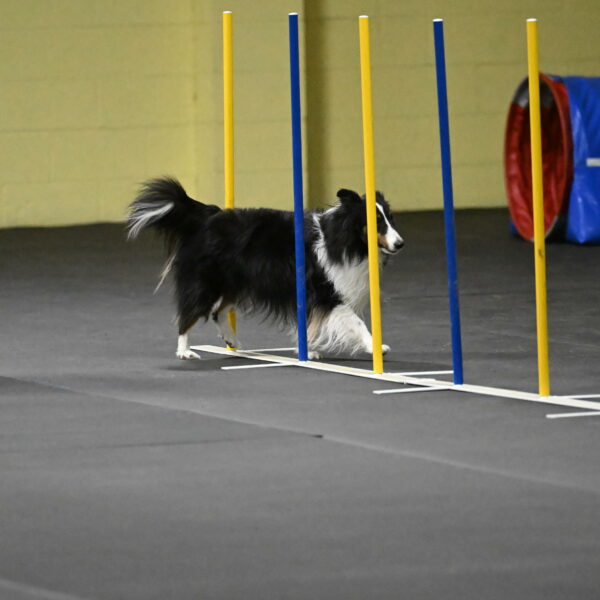 Cleo-Schmauder-02657