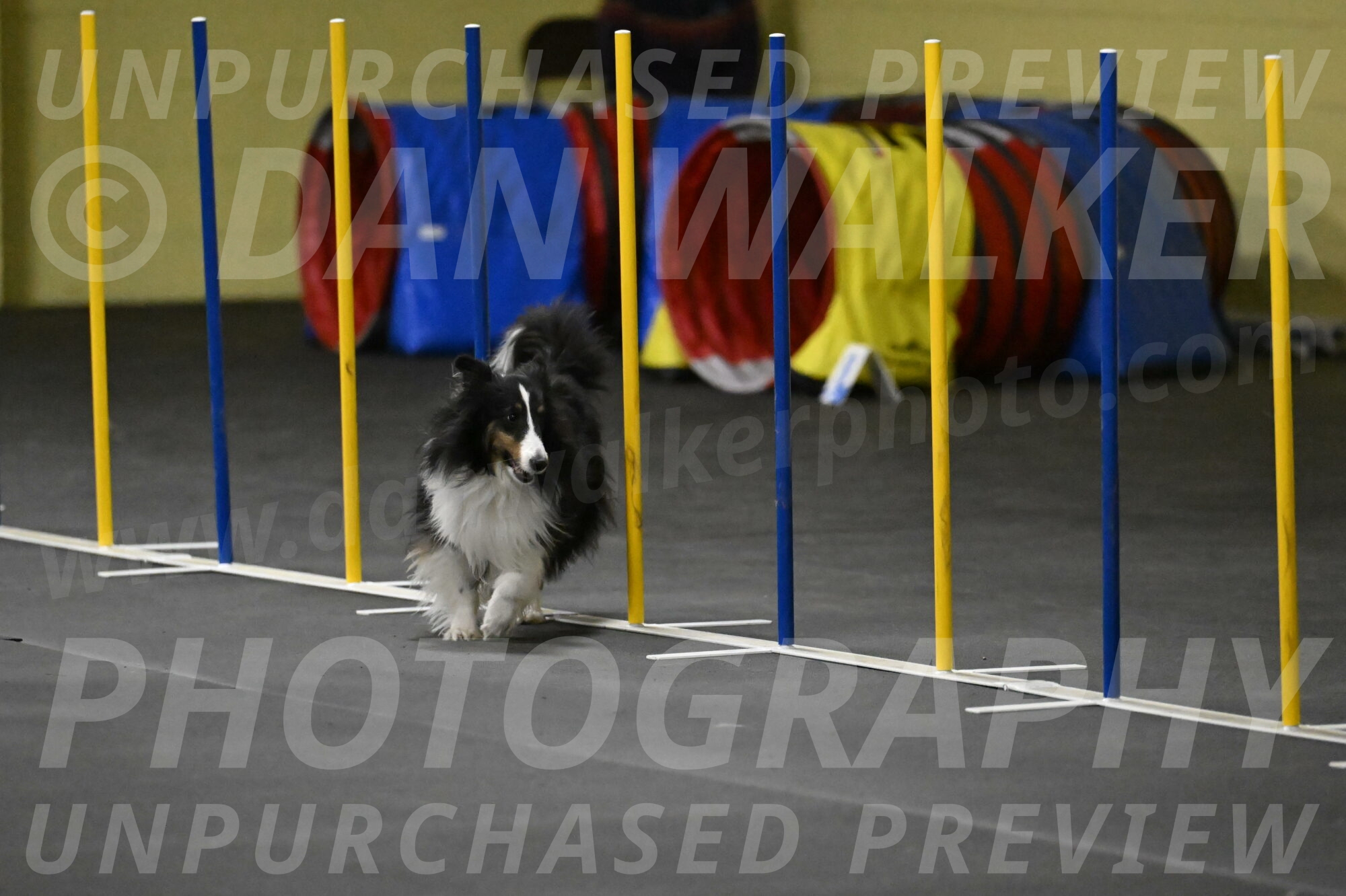 Cleo-Schmauder-02663