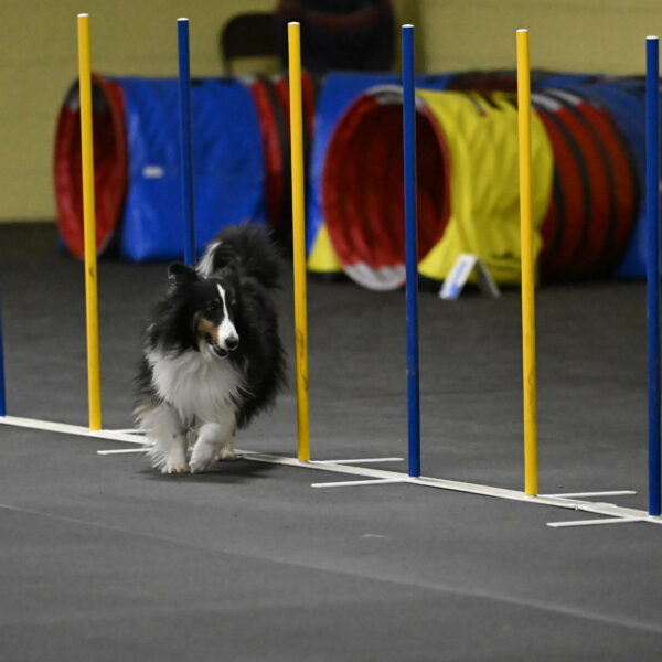 Cleo-Schmauder-02663