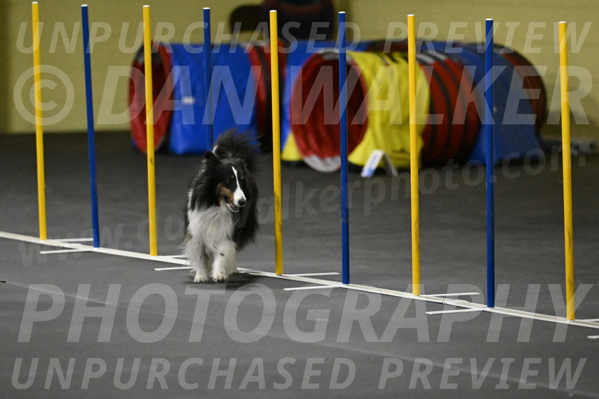 Cleo-Schmauder-02664