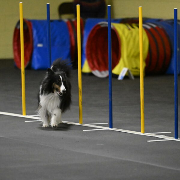 Cleo-Schmauder-02664