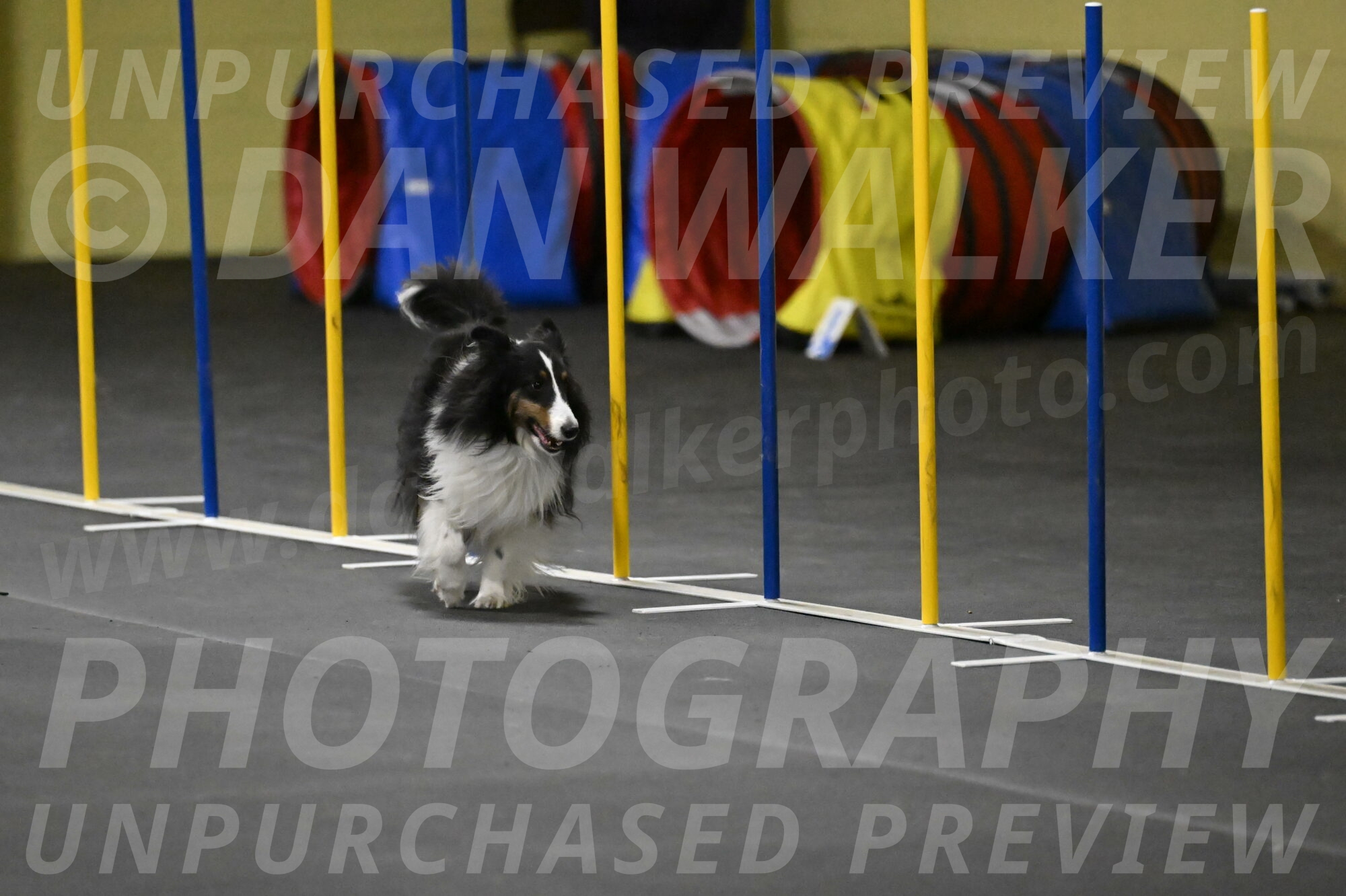 Cleo-Schmauder-02665