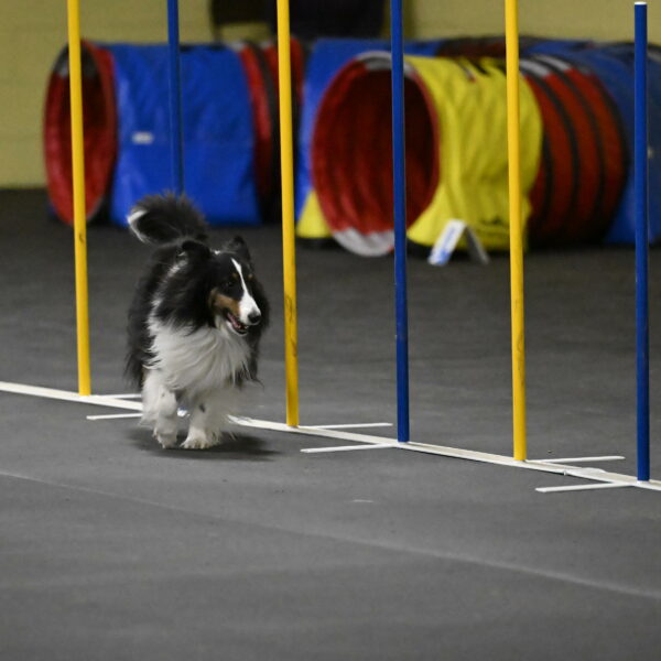 Cleo-Schmauder-02665