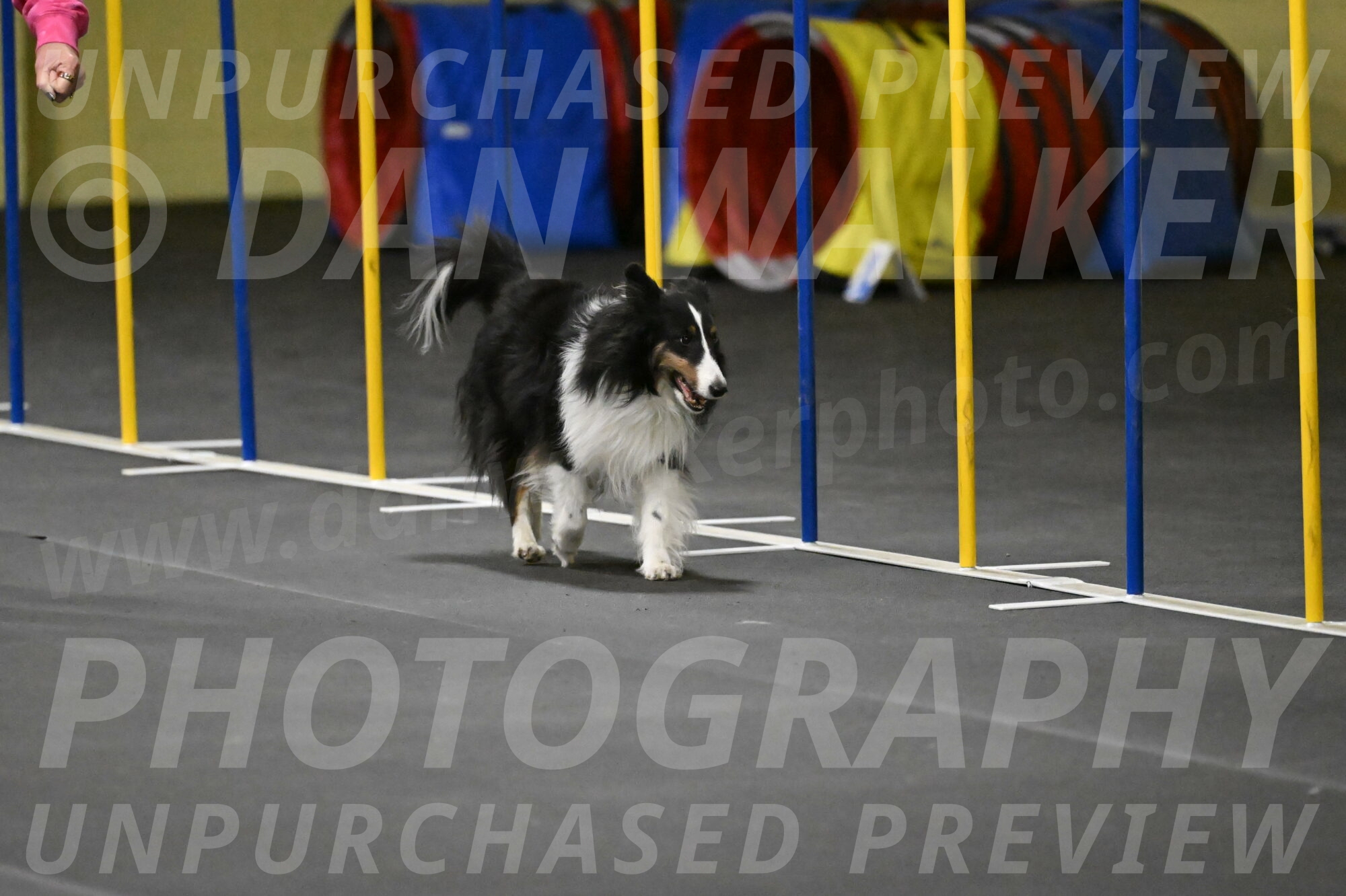 Cleo-Schmauder-02668