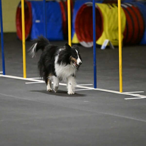 Cleo-Schmauder-02668