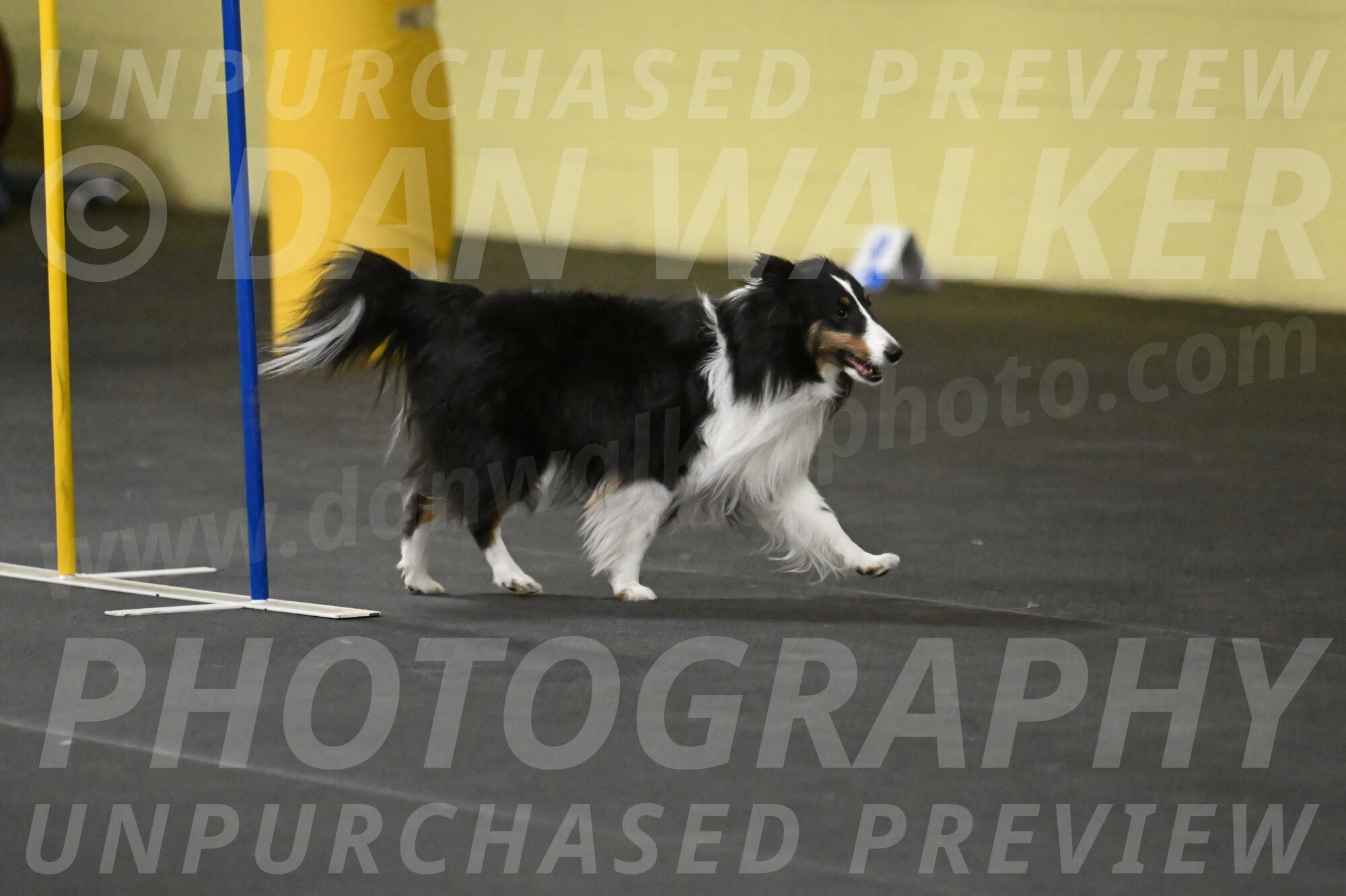 Cleo-Schmauder-02671