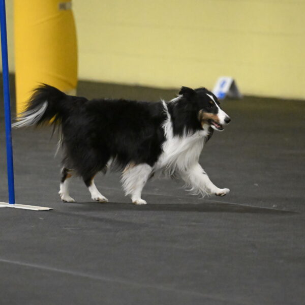 Cleo-Schmauder-02671