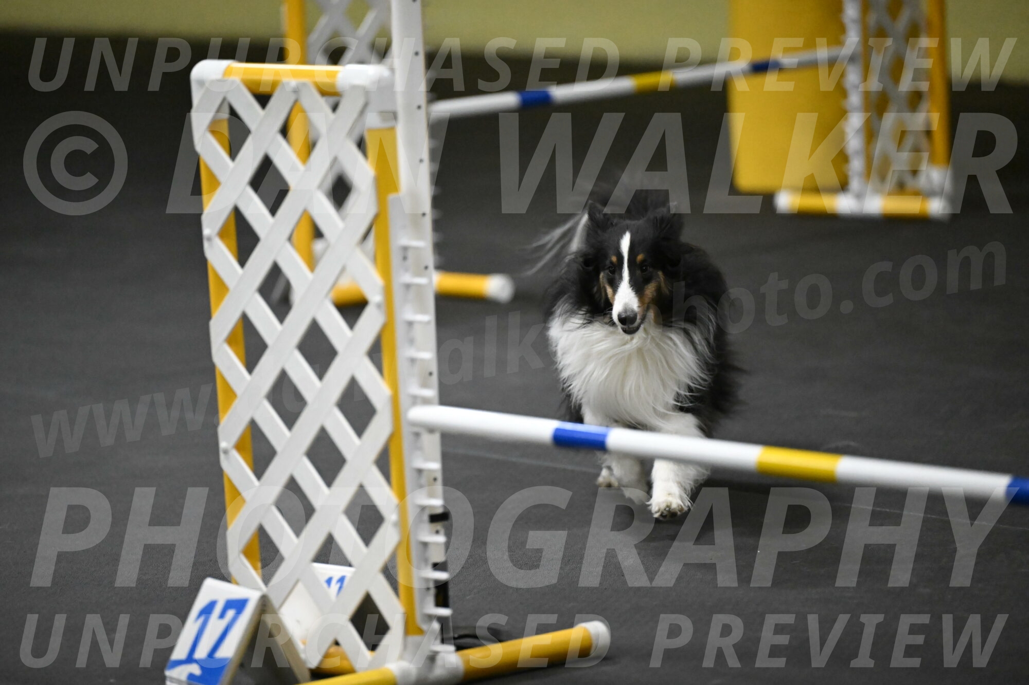 Cleo-Schmauder-02674