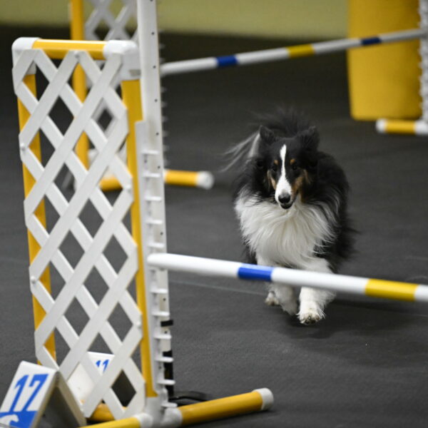 Cleo-Schmauder-02674