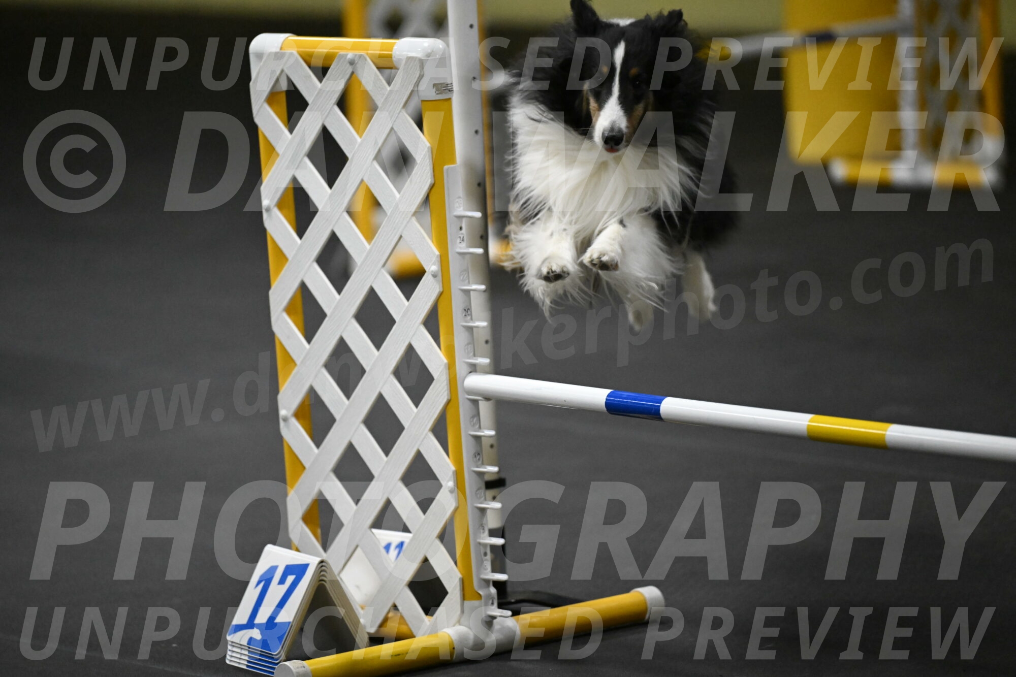 Cleo-Schmauder-02678