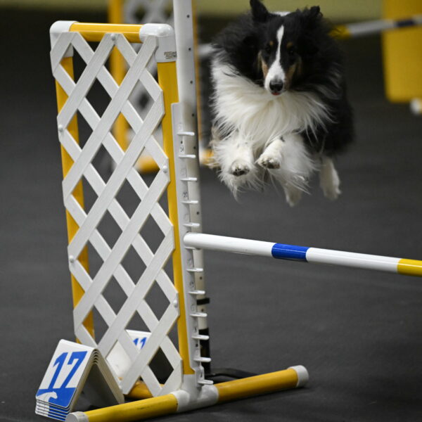 Cleo-Schmauder-02678