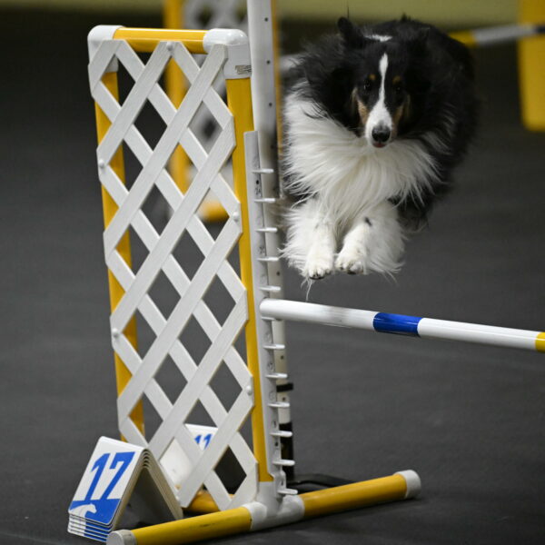 Cleo-Schmauder-02679