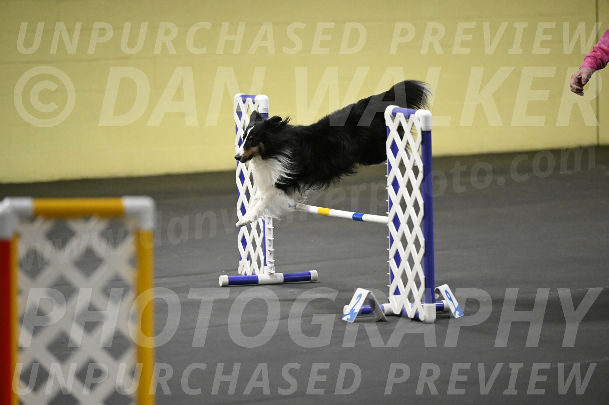 Cleo-Schmauder-02681