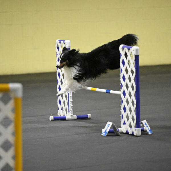 Cleo-Schmauder-02681