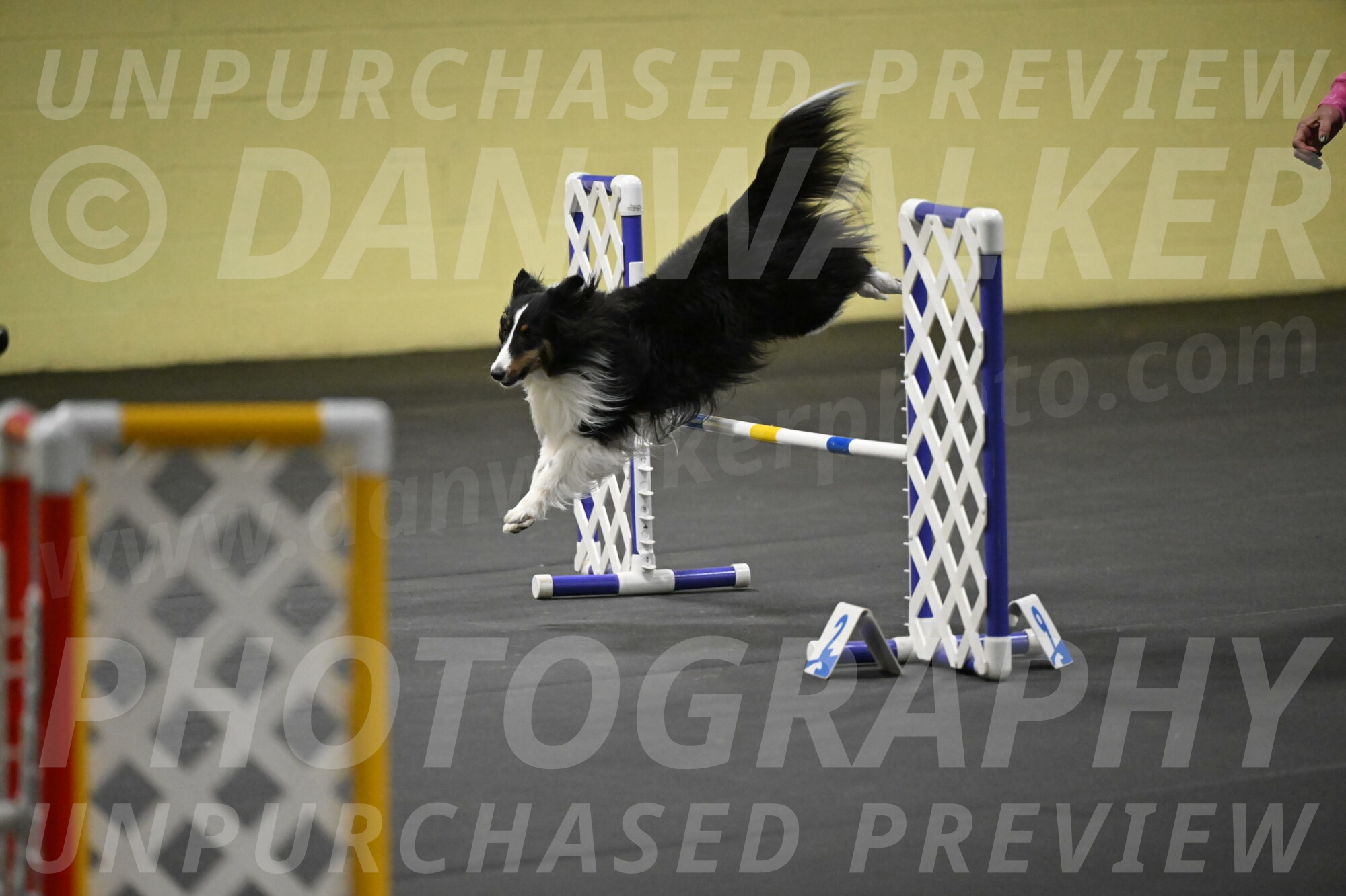 Cleo-Schmauder-02682