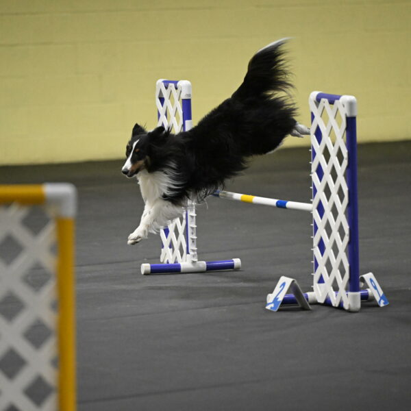 Cleo-Schmauder-02682