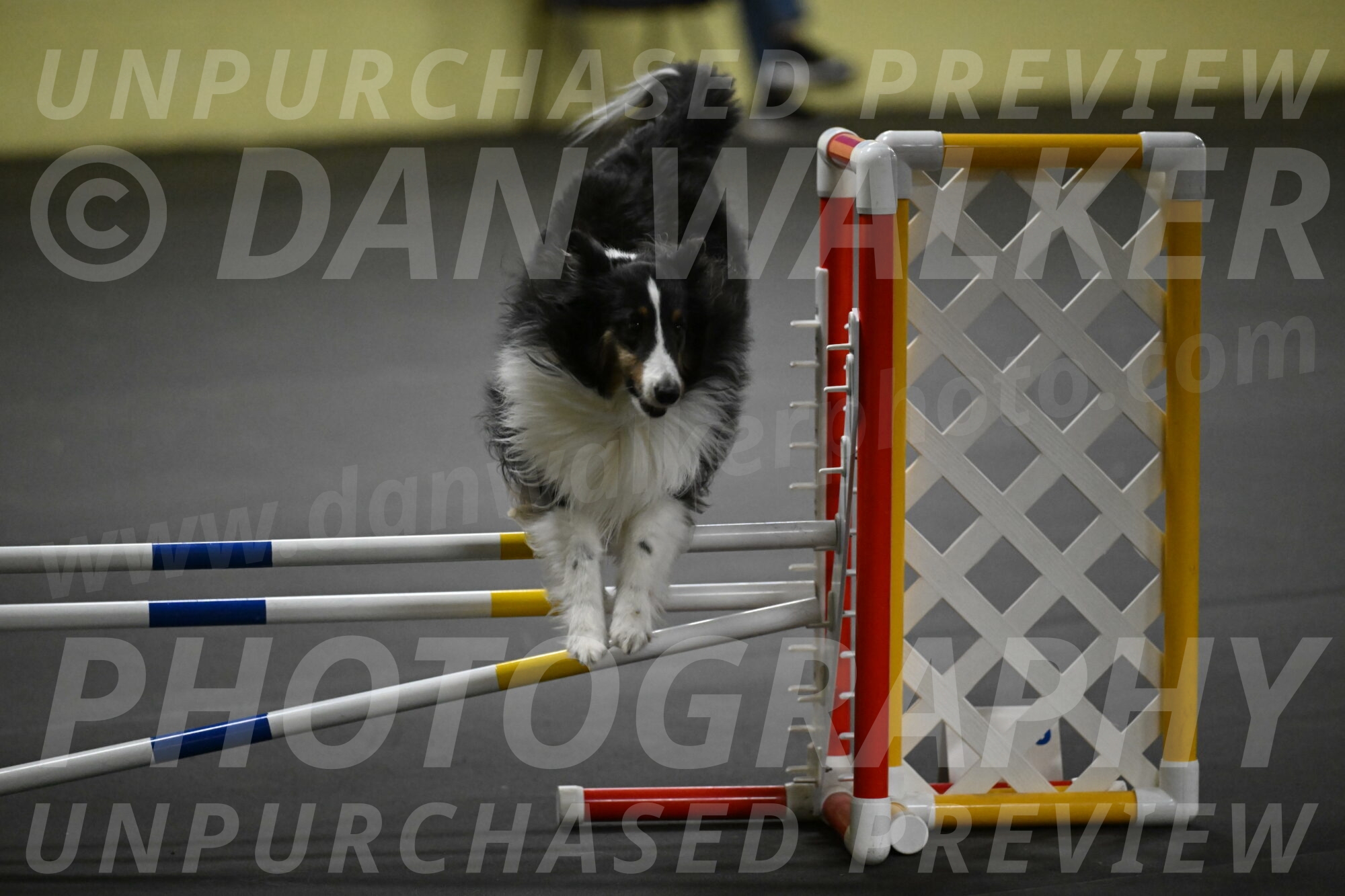 Cleo-Schmauder-02683