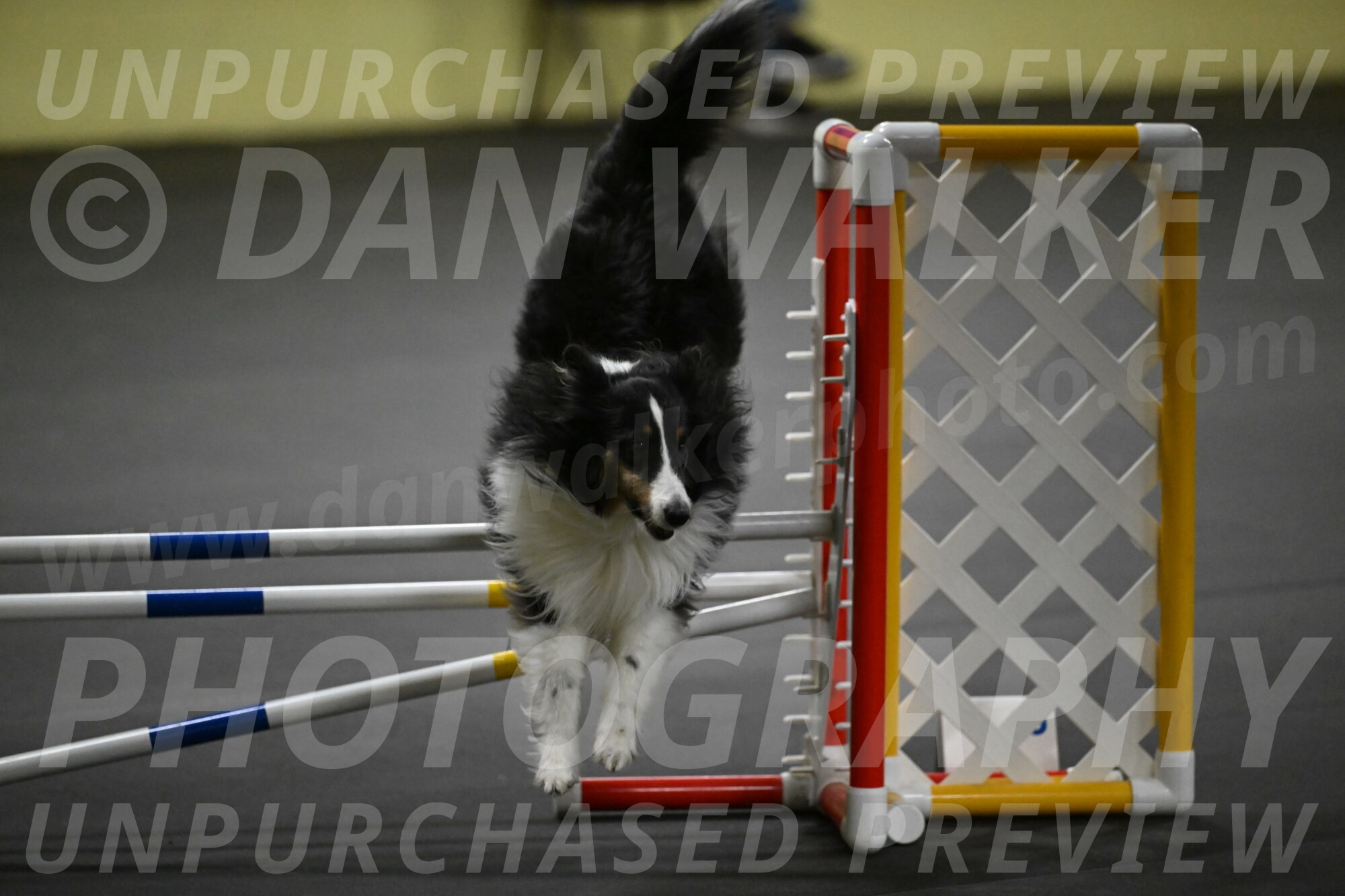 Cleo-Schmauder-02684