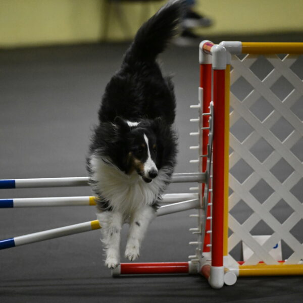 Cleo-Schmauder-02684