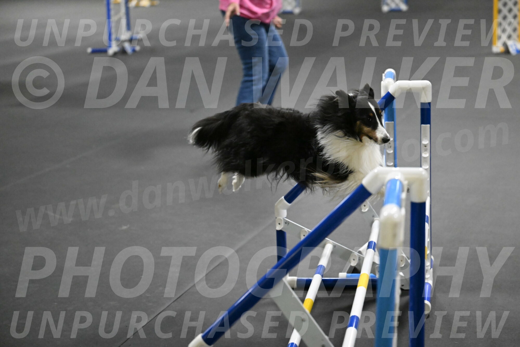 Cleo-Schmauder-02687