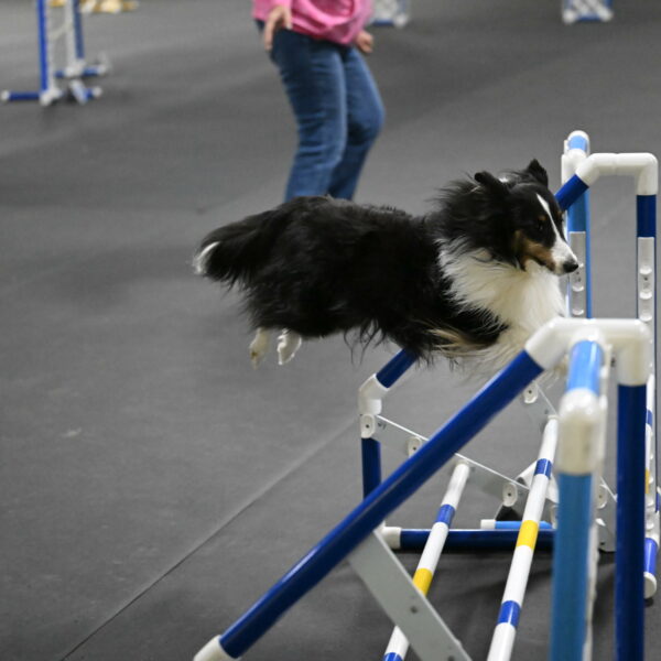 Cleo-Schmauder-02687