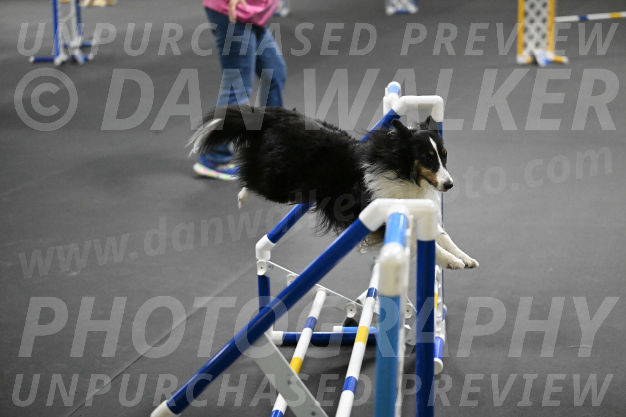 Cleo-Schmauder-02688