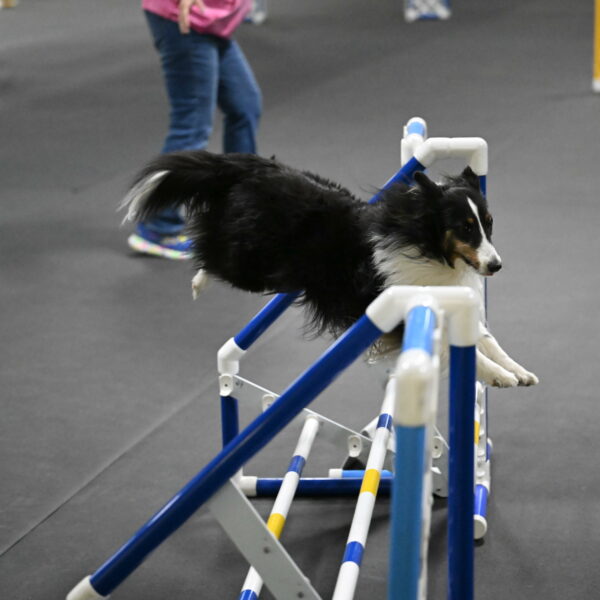 Cleo-Schmauder-02688