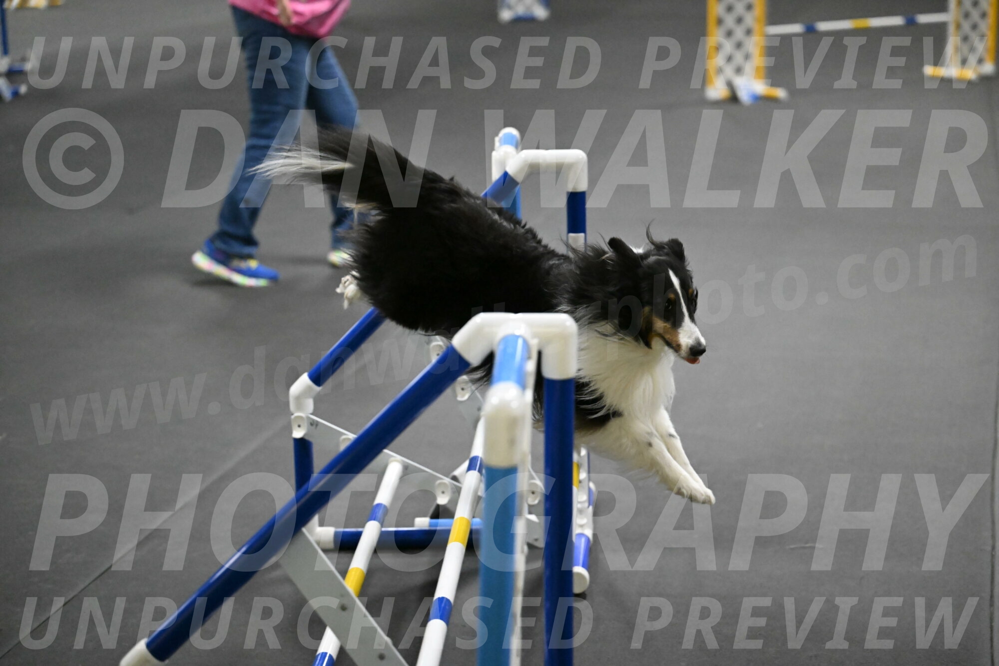 Cleo-Schmauder-02689