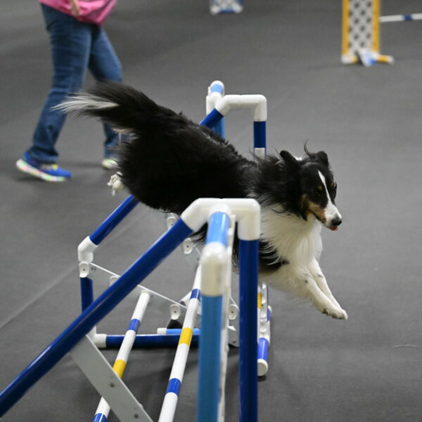 Cleo-Schmauder-02689