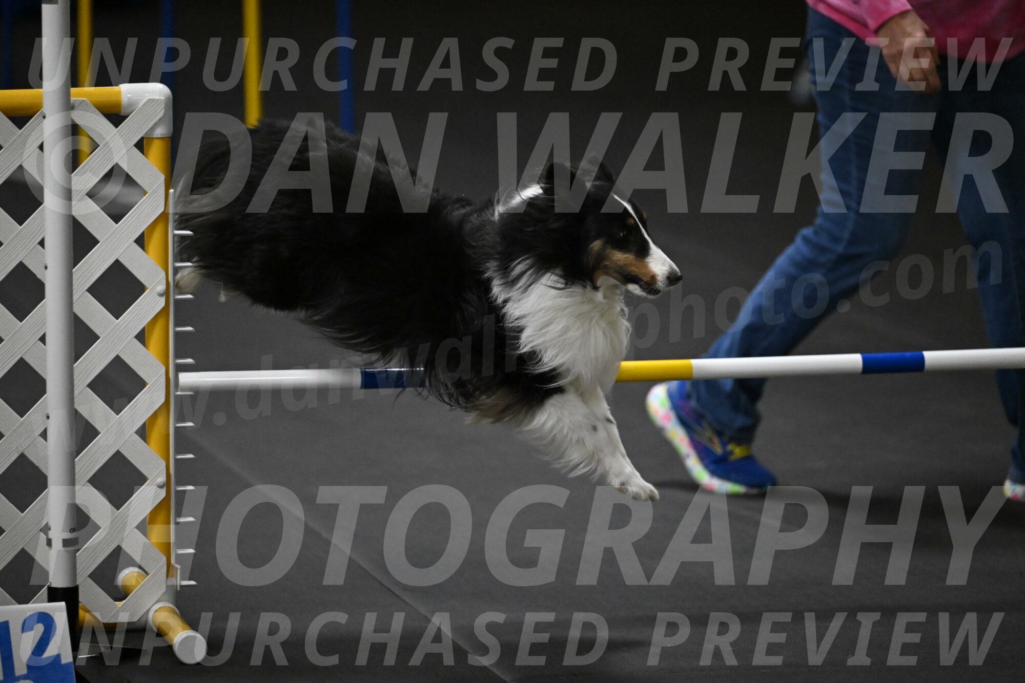 Cleo-Schmauder-02692