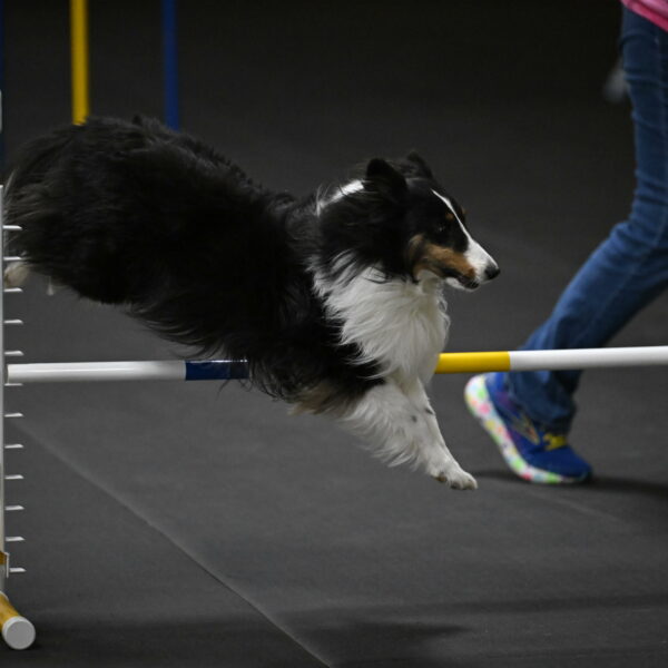 Cleo-Schmauder-02692