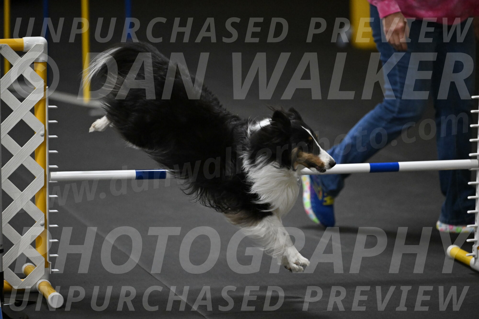 Cleo-Schmauder-02693