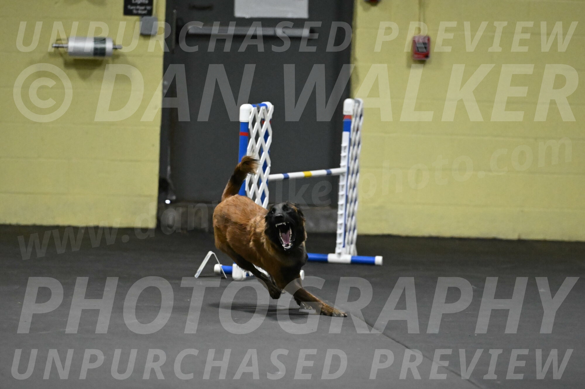 Clever-Telencio-07736