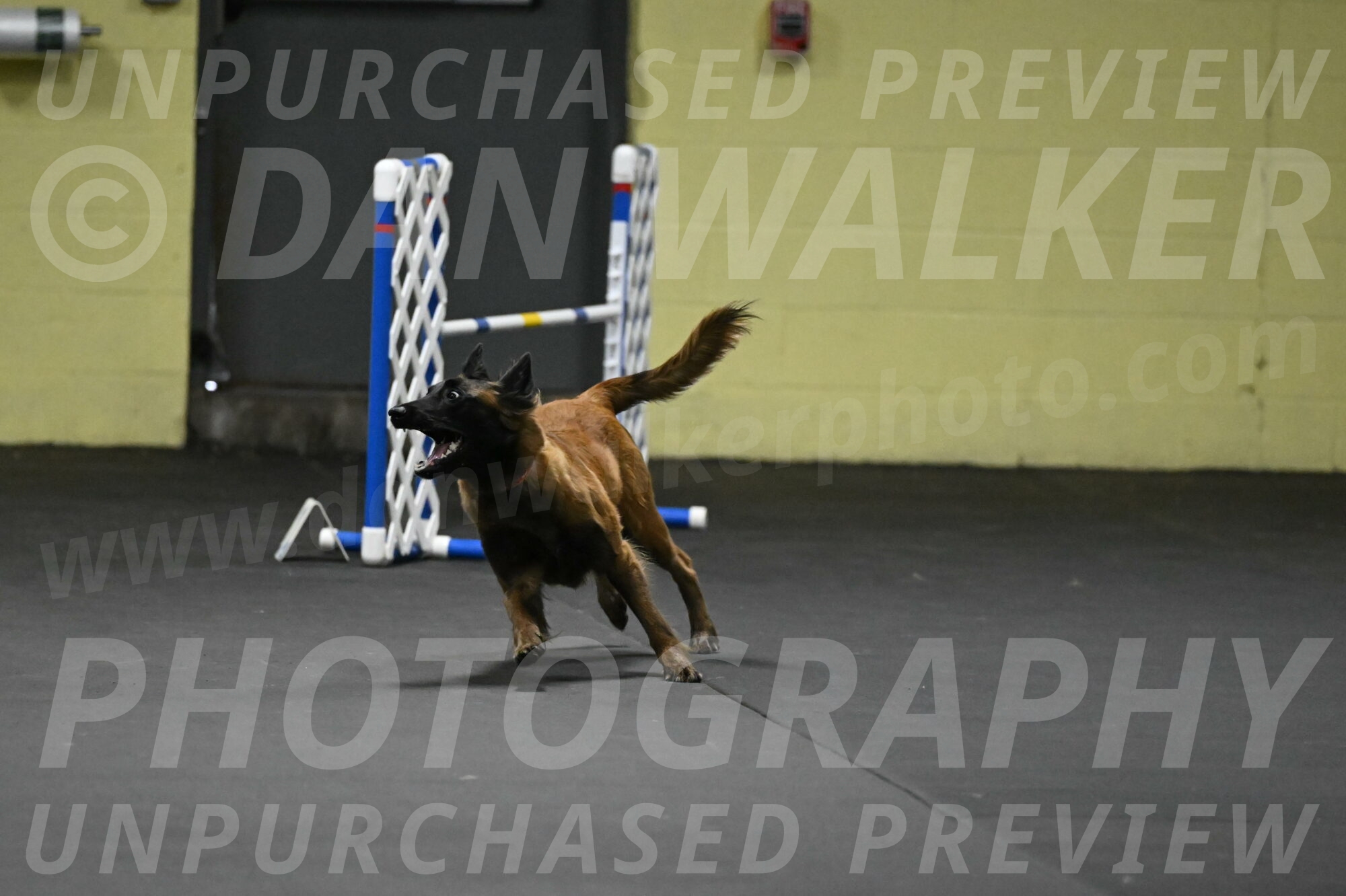 Clever-Telencio-07739