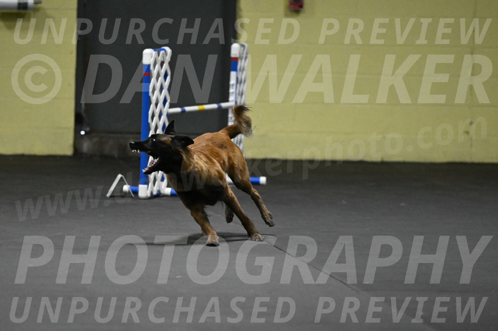 Clever-Telencio-07740