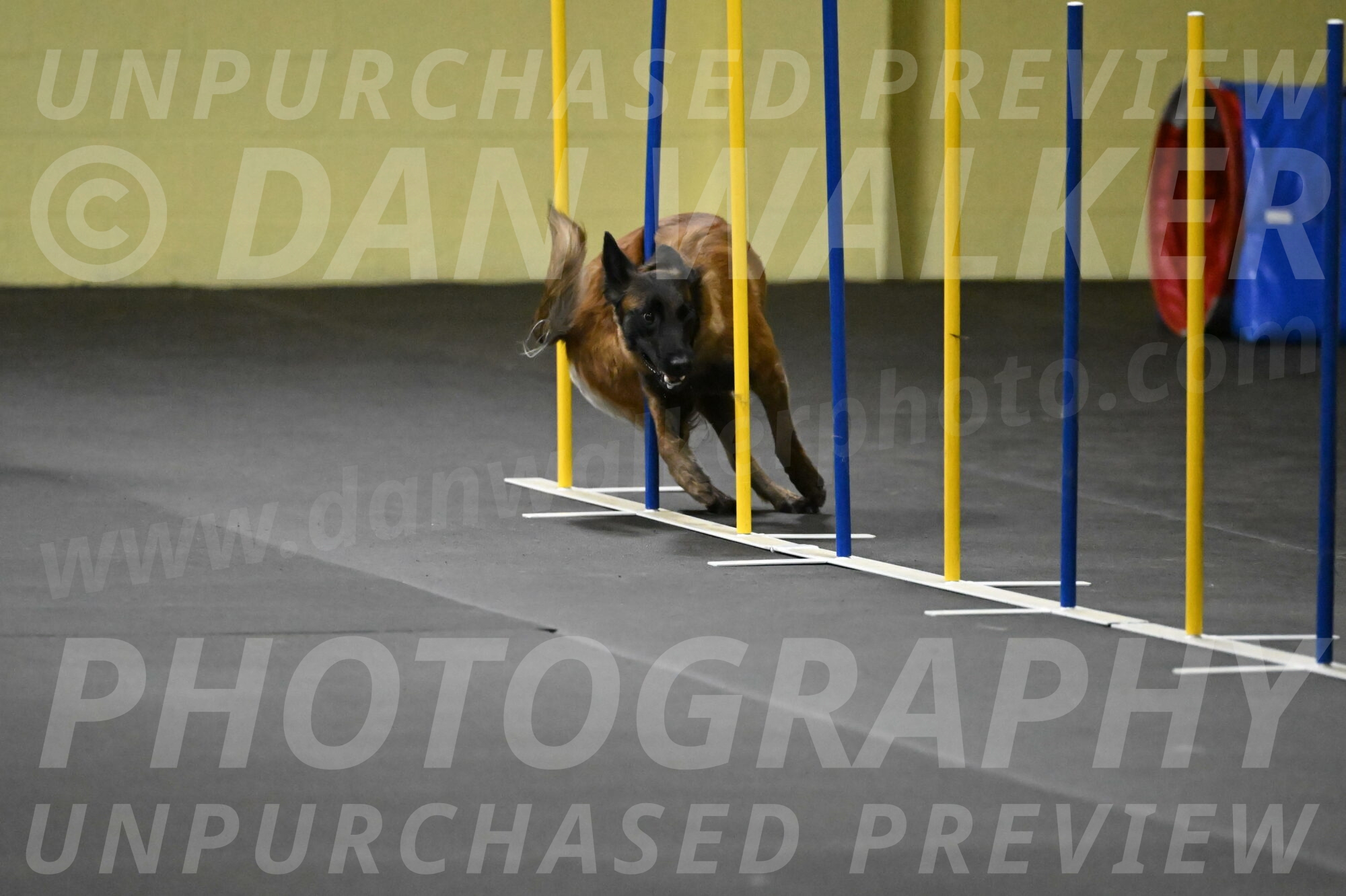 Clever-Telencio-07742