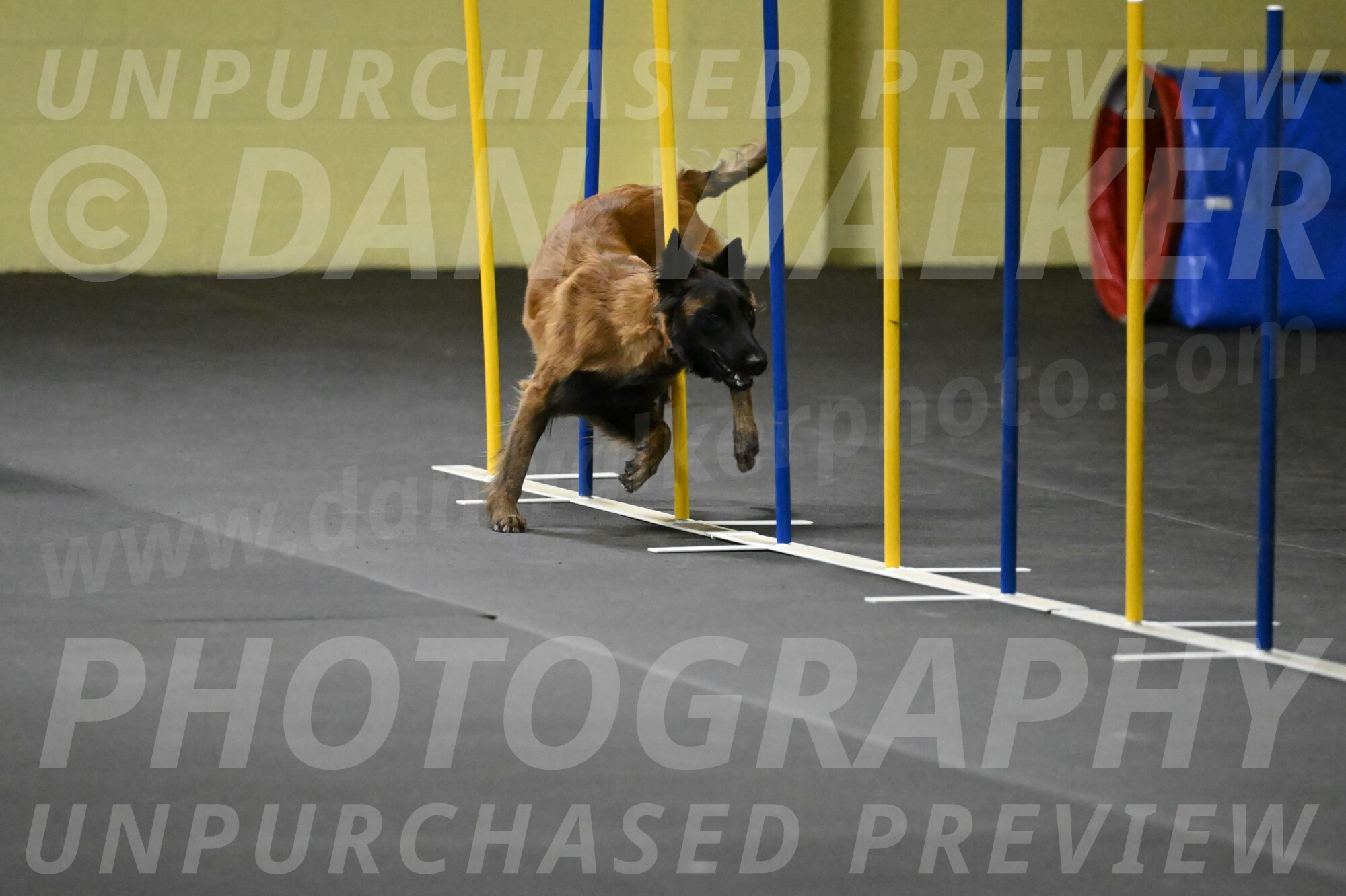 Clever-Telencio-07744