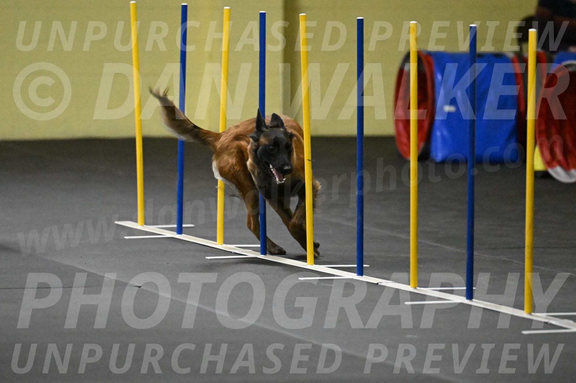 Clever-Telencio-07748