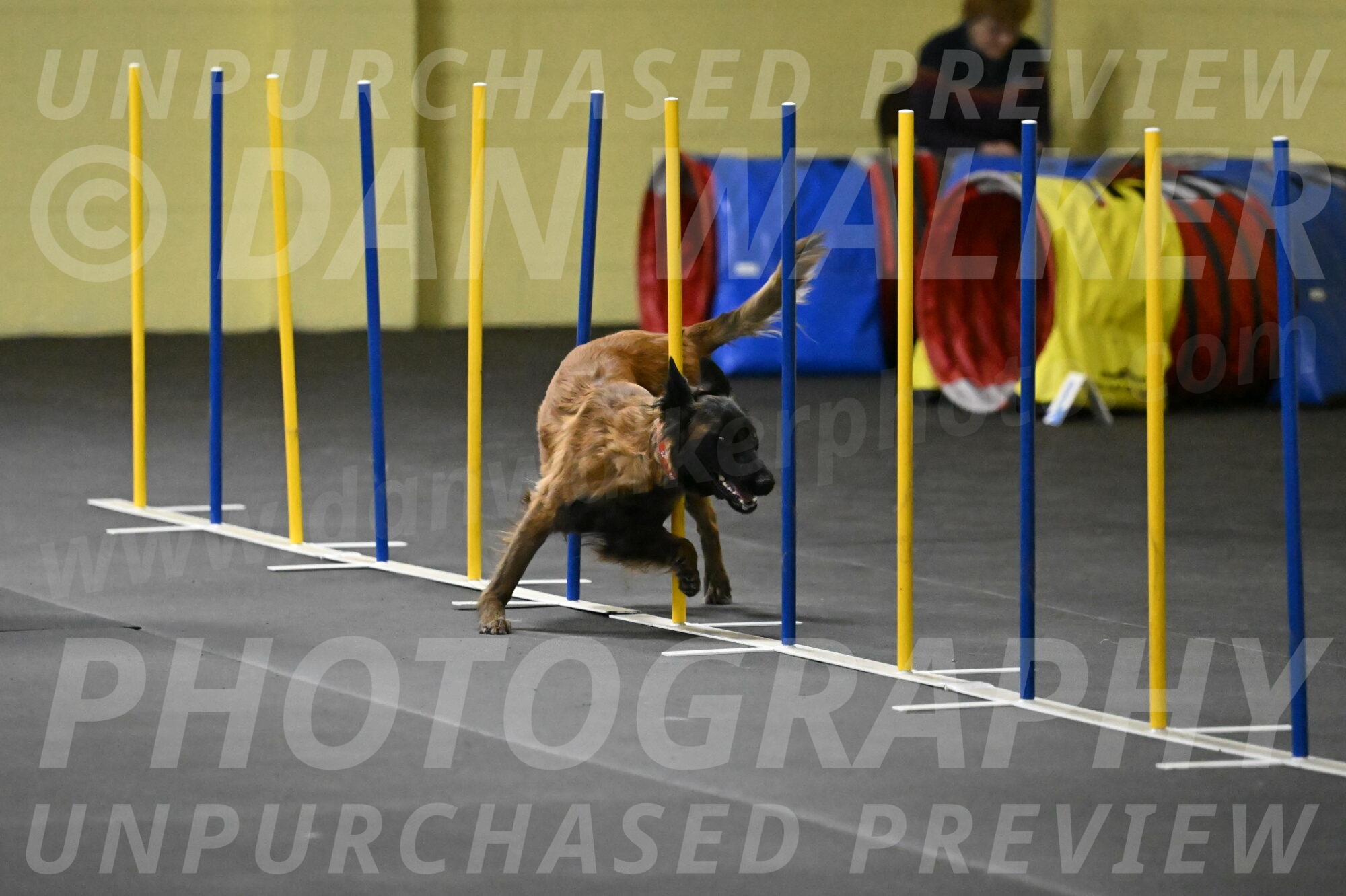 Clever-Telencio-07755