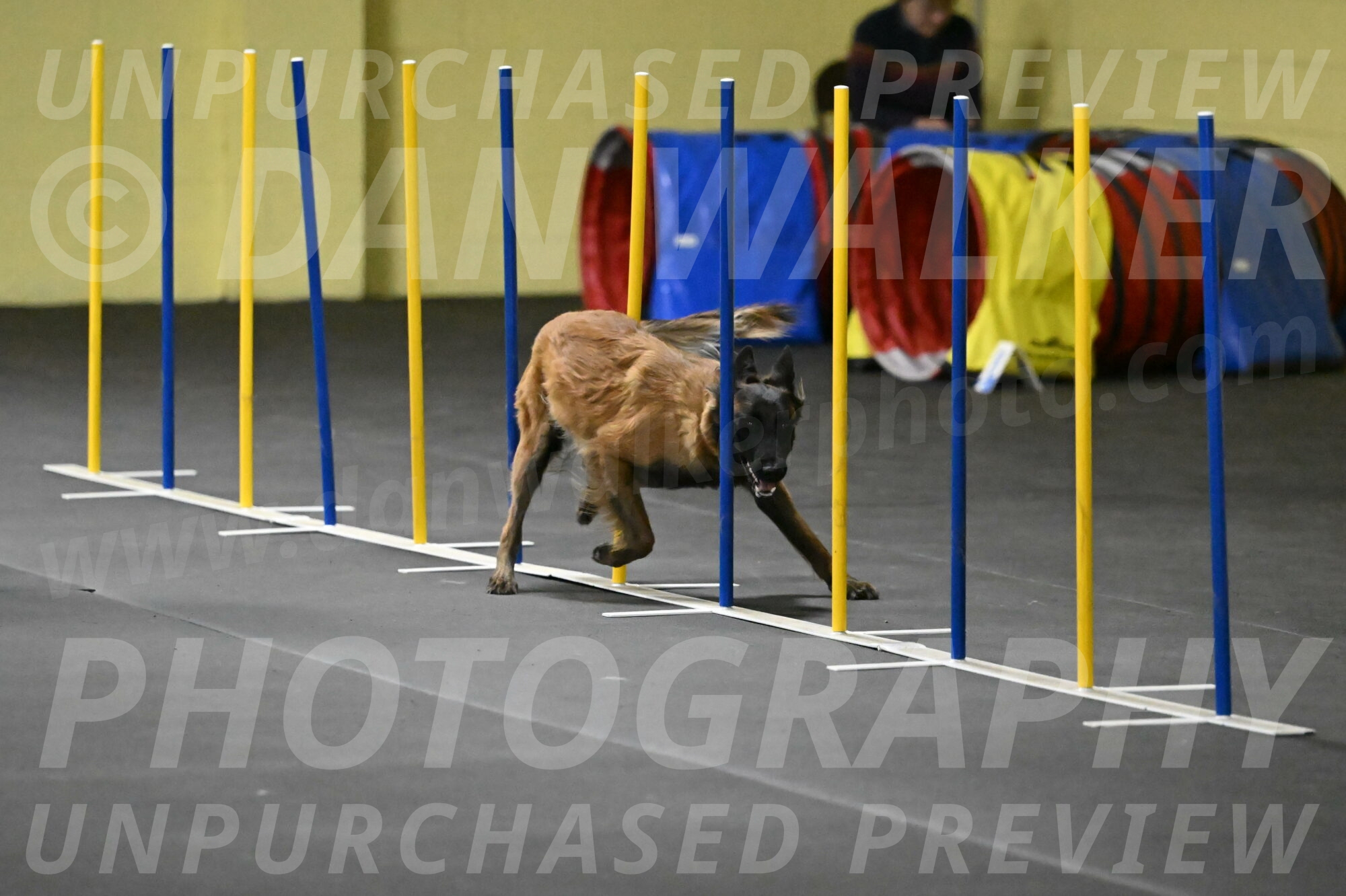 Clever-Telencio-07757