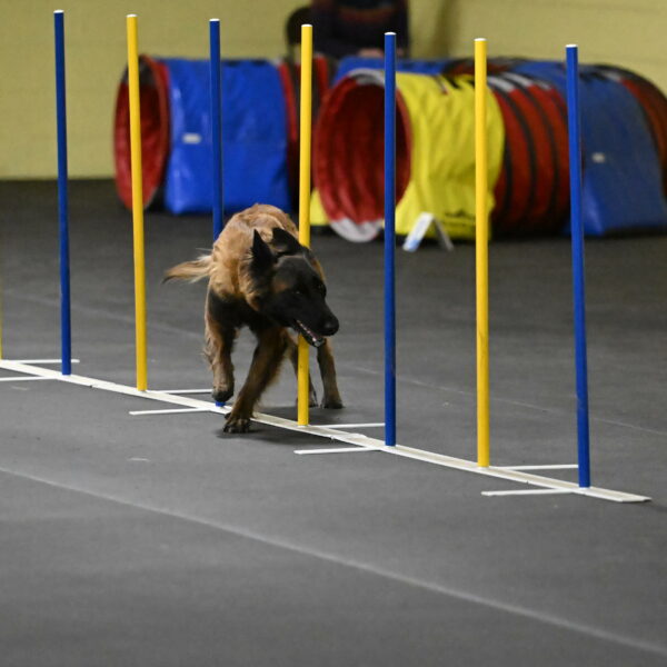 Clever-Telencio-07760