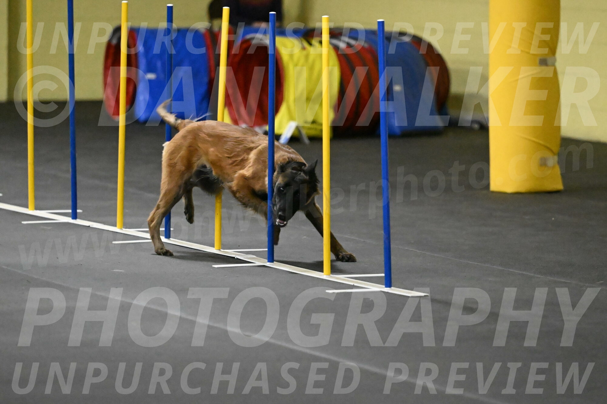 Clever-Telencio-07763