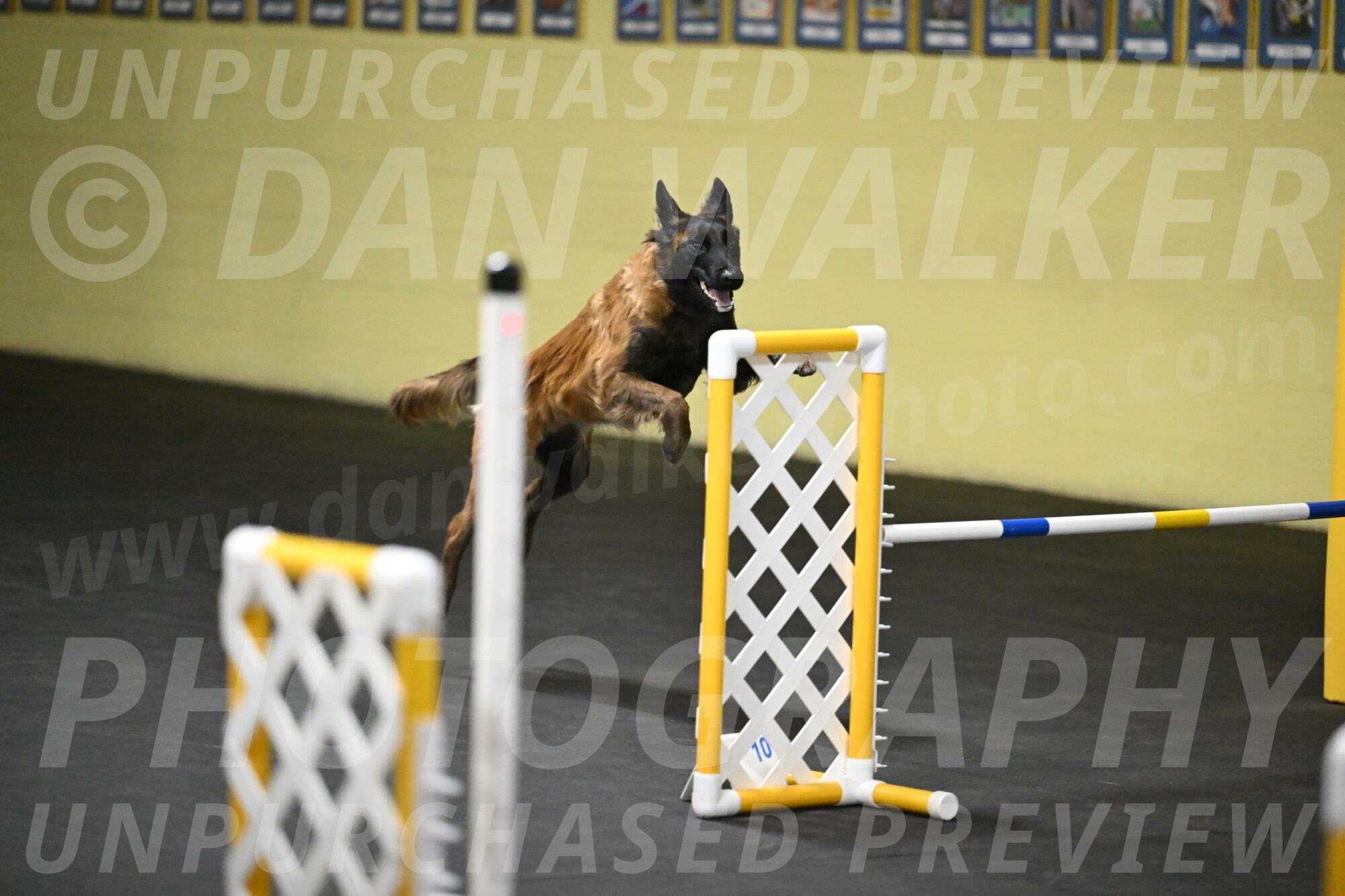 Clever-Telencio-07772