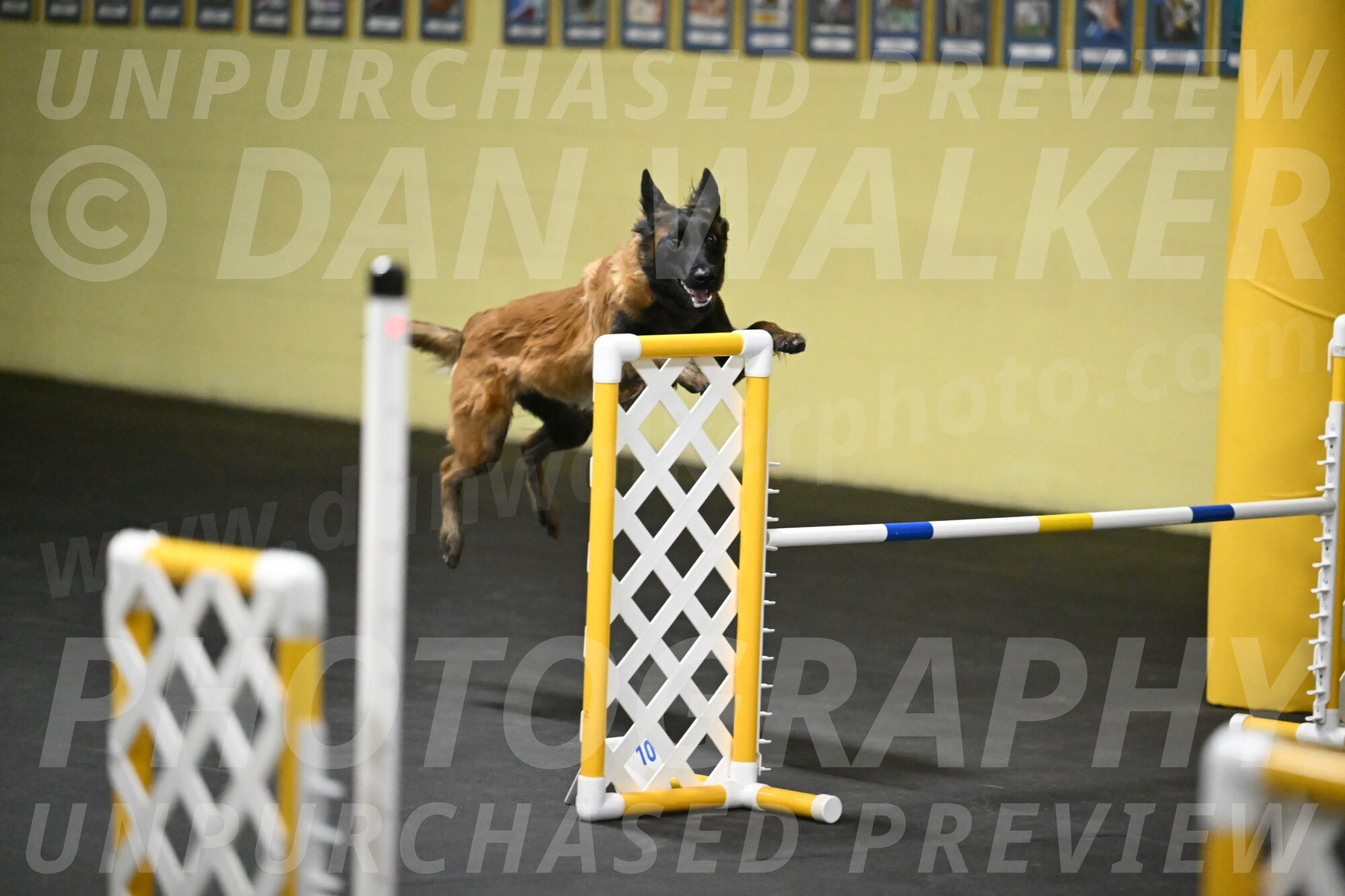 Clever-Telencio-07773