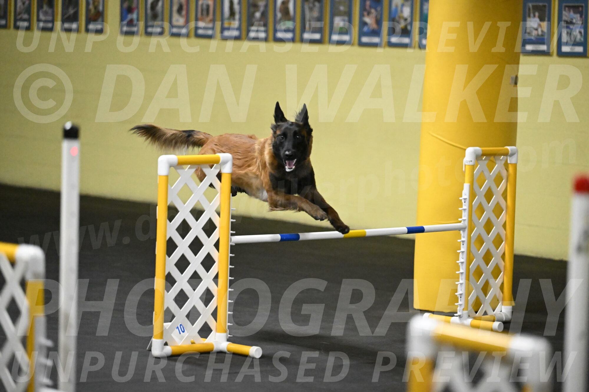 Clever-Telencio-07774