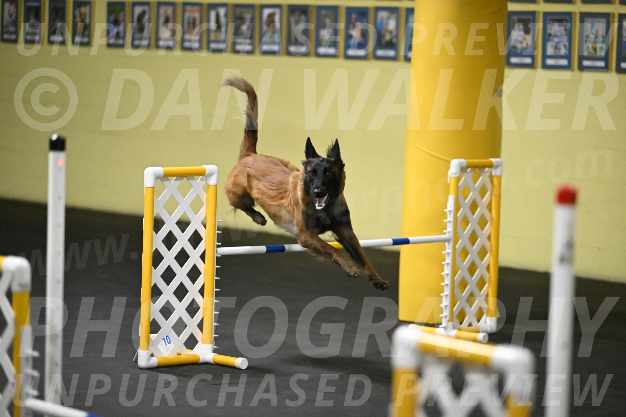 Clever-Telencio-07775