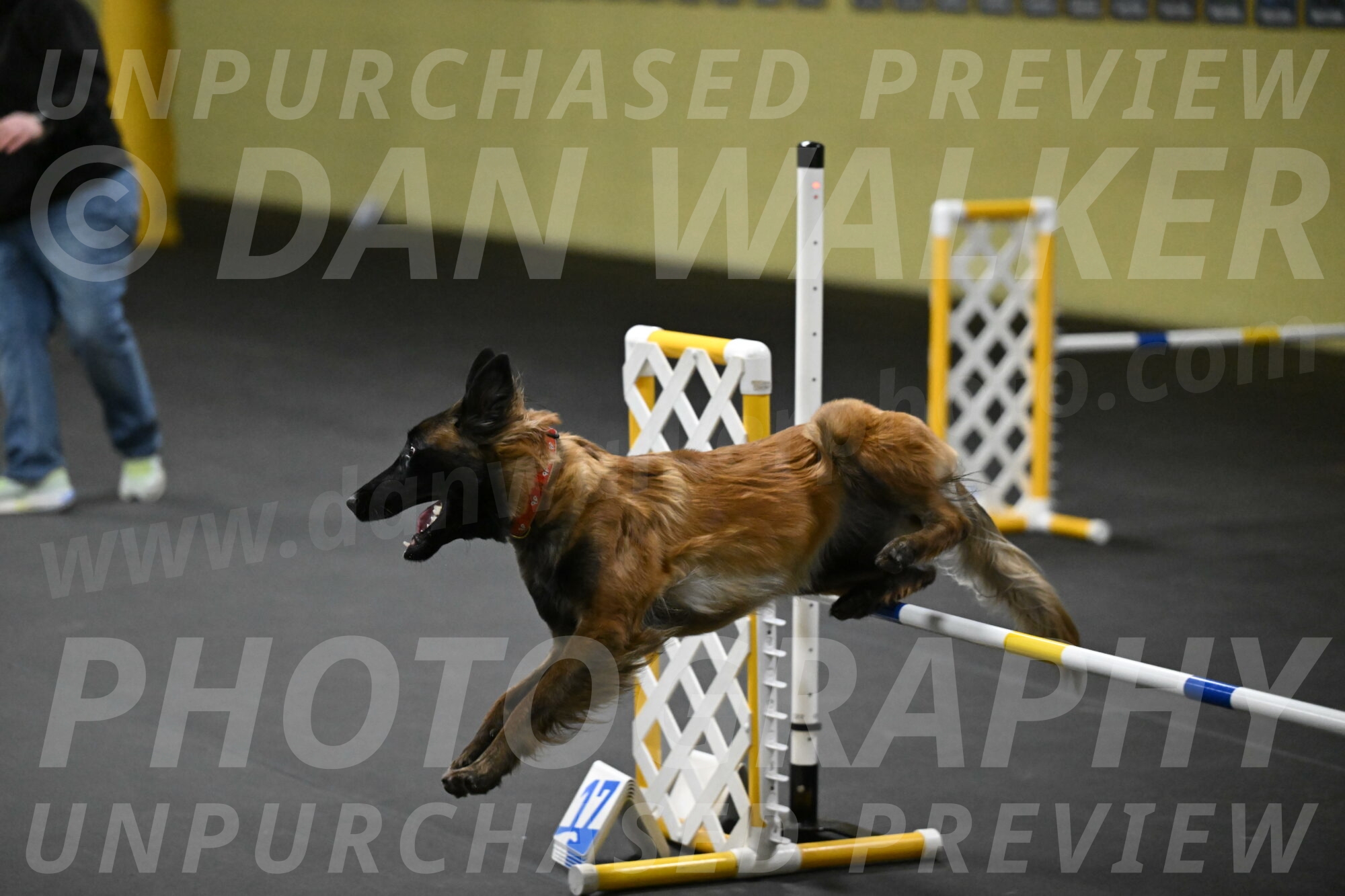 Clever-Telencio-07779