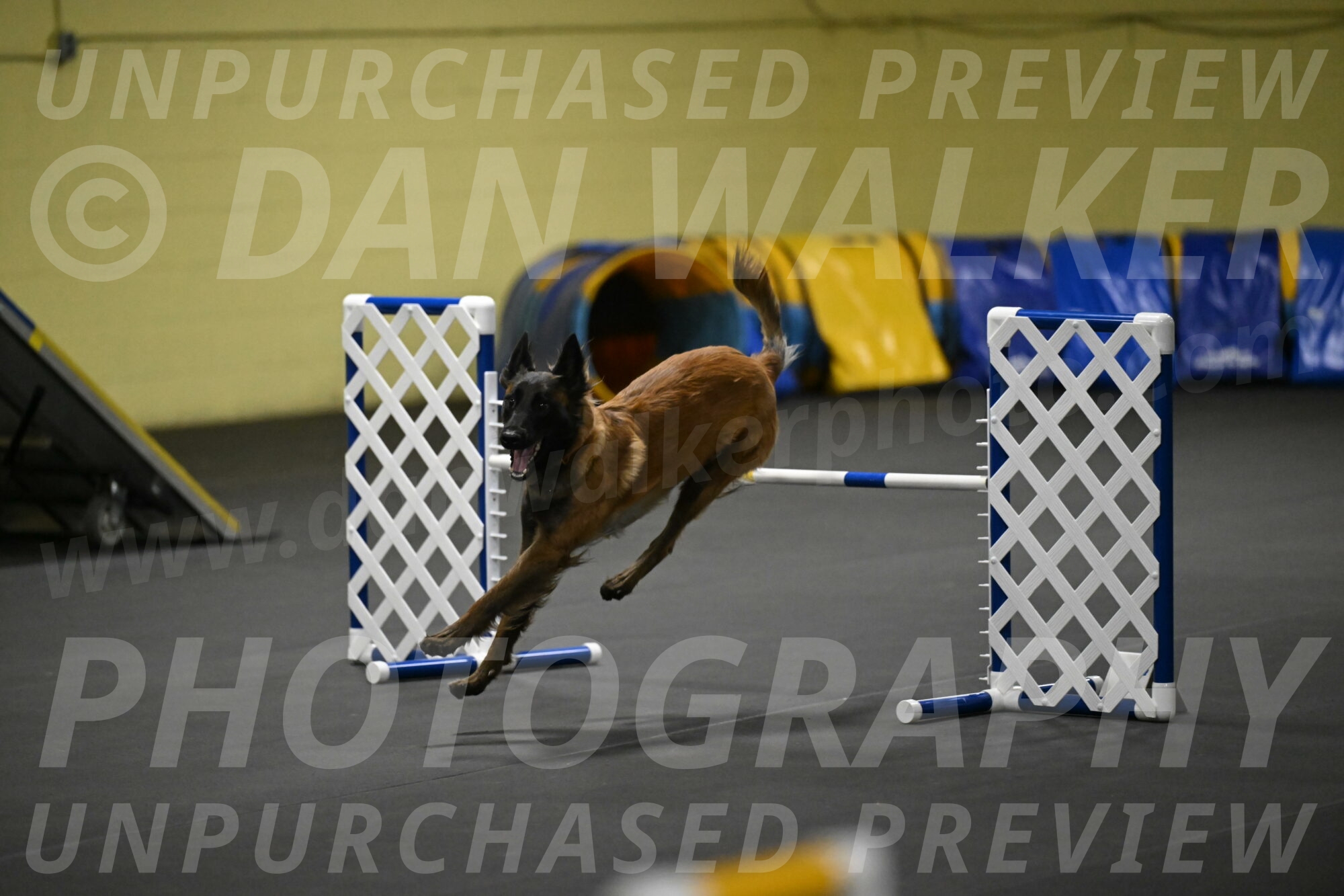 Clever-Telencio-07783