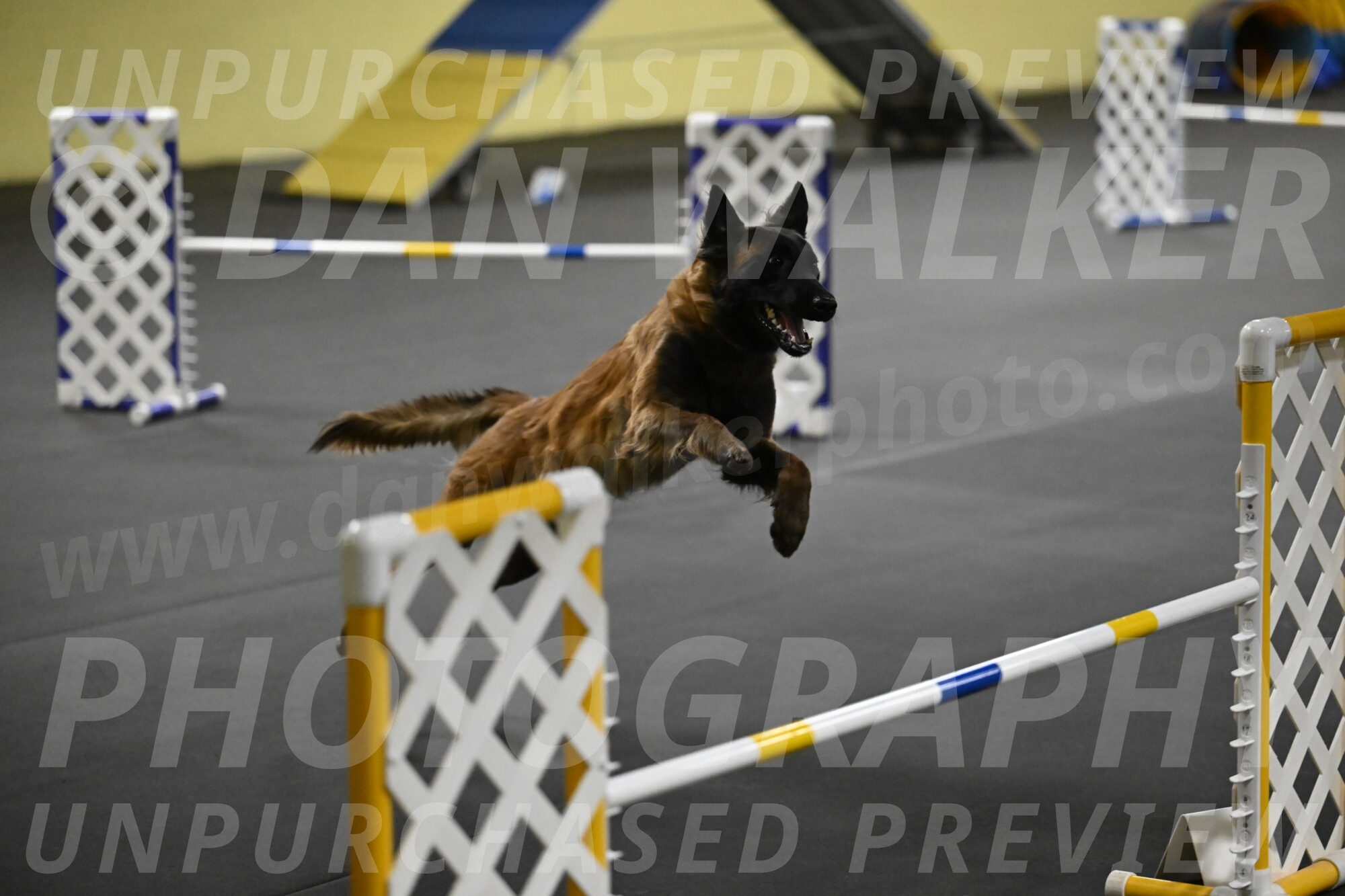 Clever-Telencio-07789