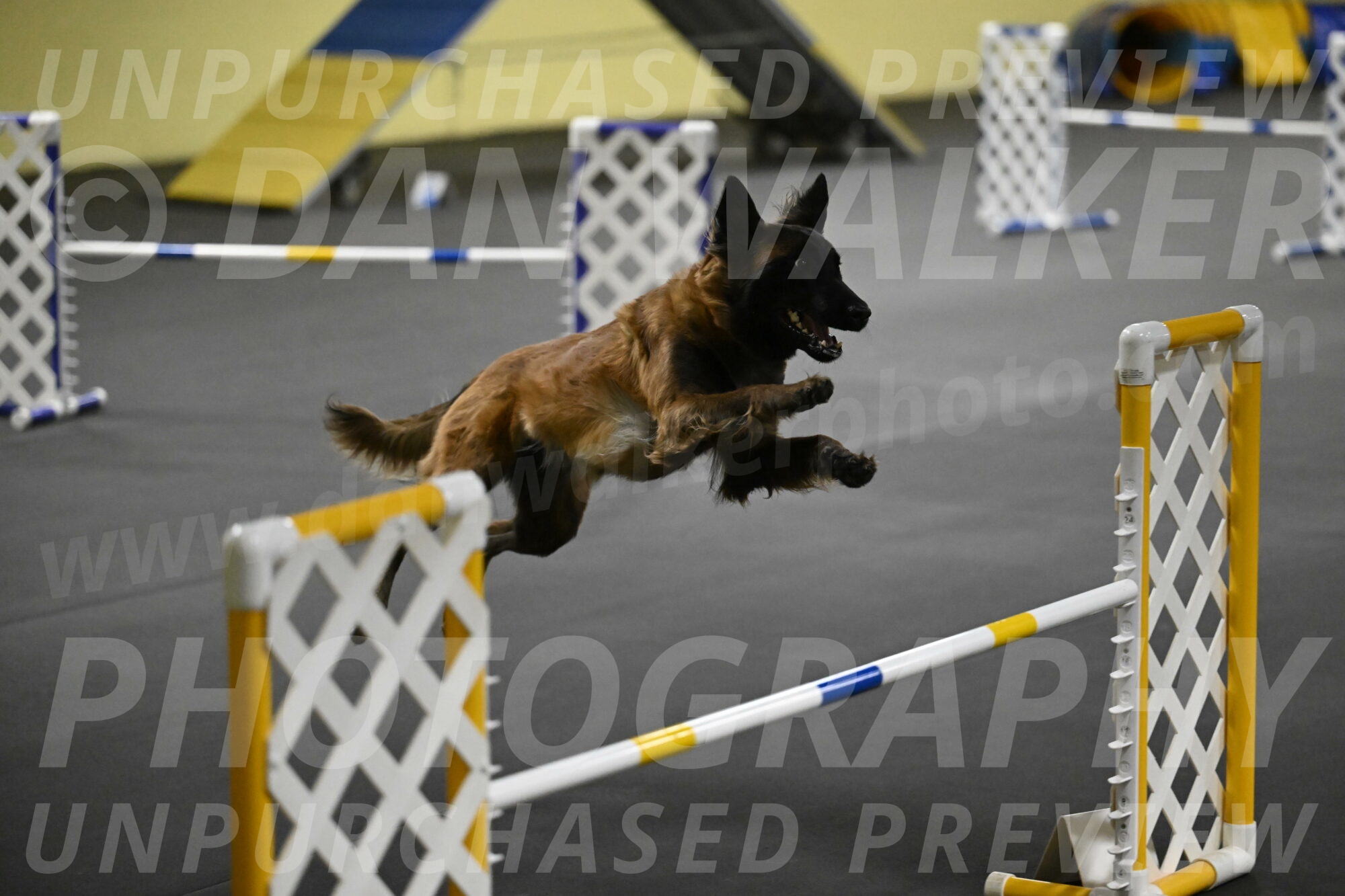 Clever-Telencio-07790